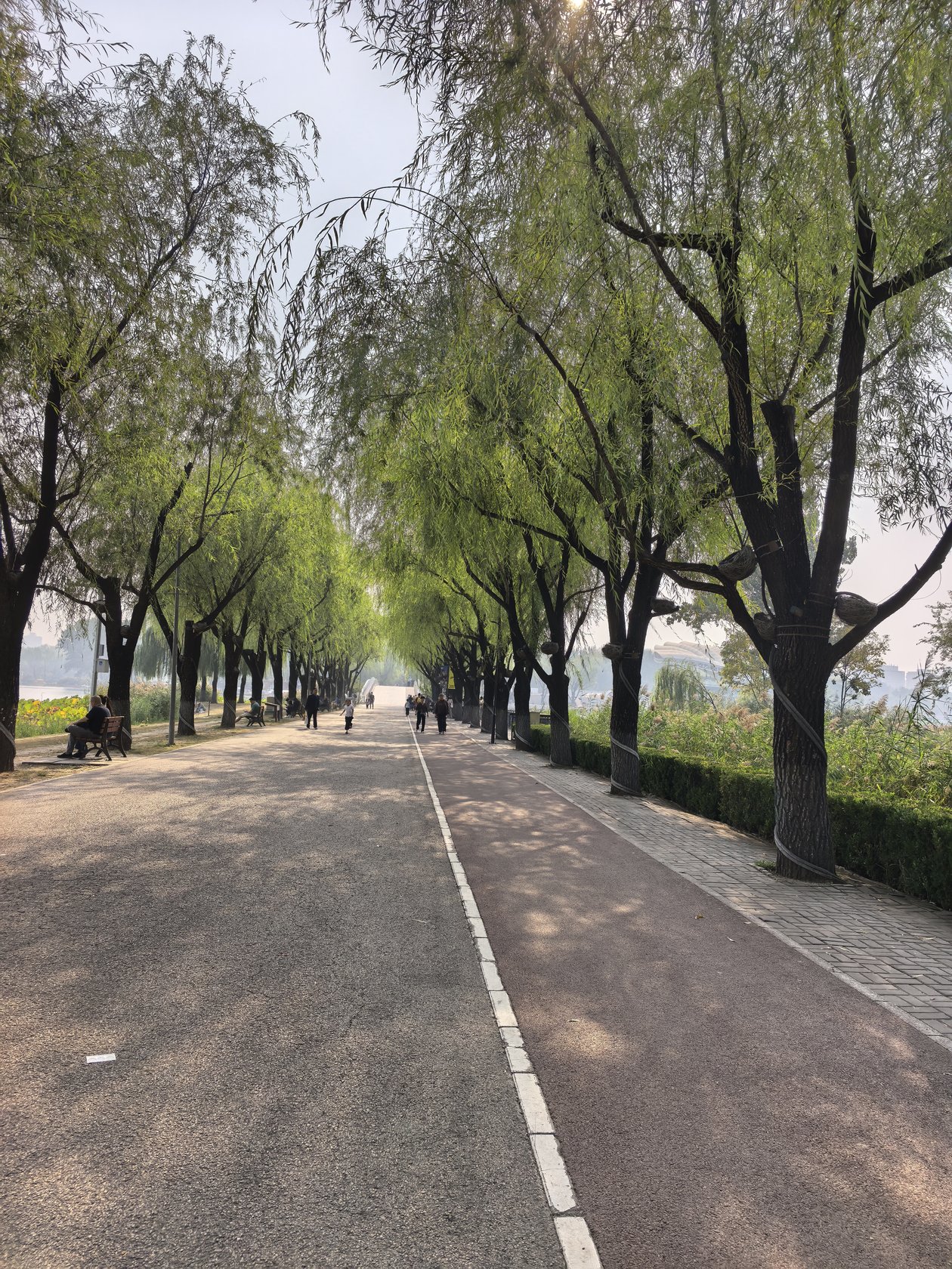 水碓桥河畔漫步 08