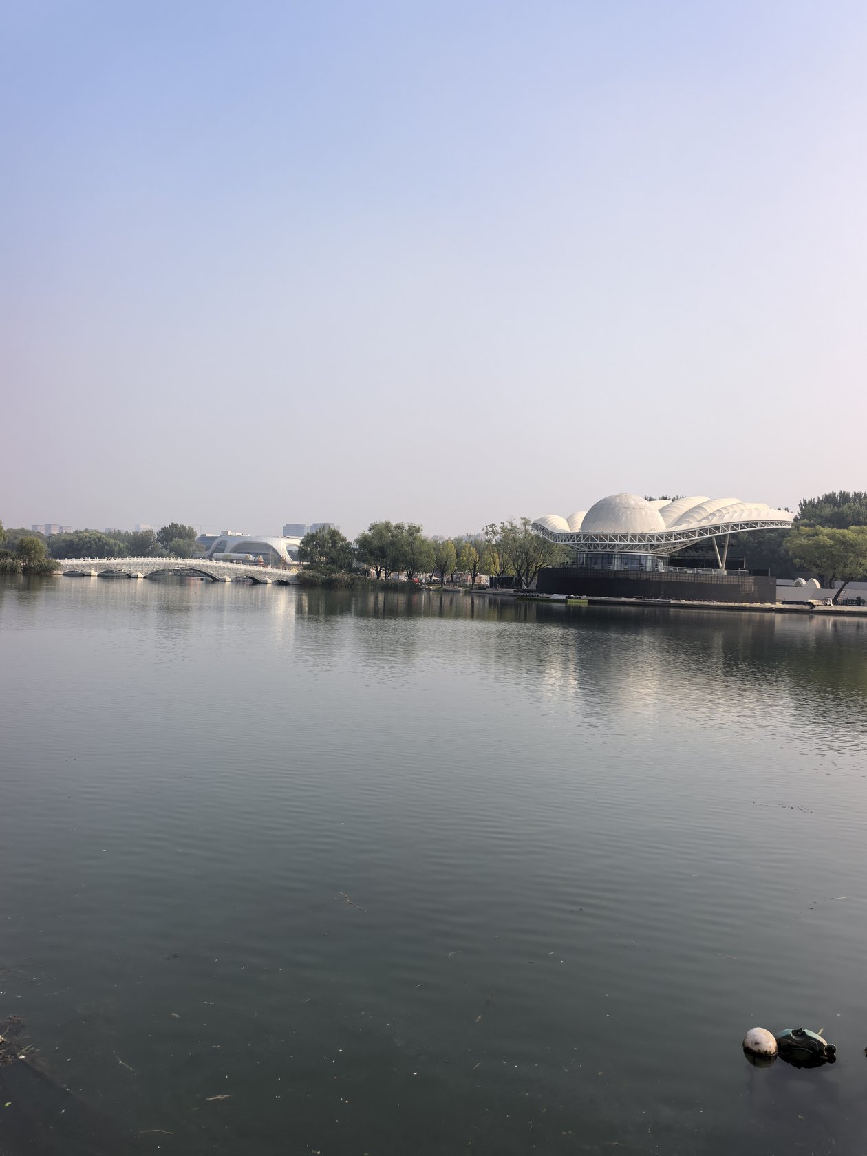 水碓桥河畔漫步 27